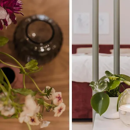 No. 7 - Bold Marsala - Marina Apartment Ilawa